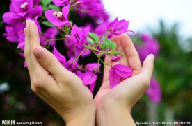 手捧鲜花