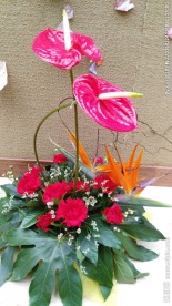 花艺 风中起舞