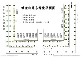 花园平面图