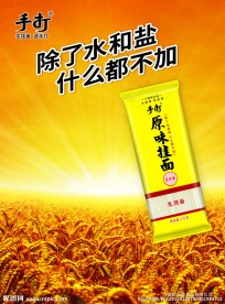 今麦郎手打原味挂面甄选食材