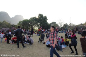 柳州龙潭公园桃花