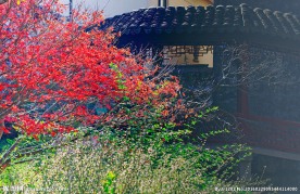 亭台红妆
