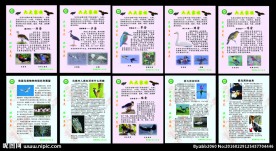 曹路镇林业