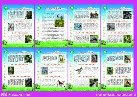曹路镇林业工作站