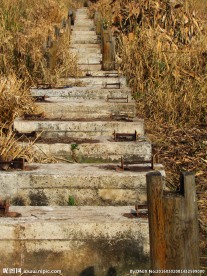 湿地道路