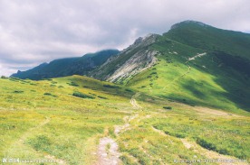 青山