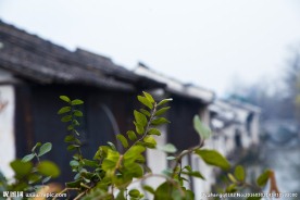 绍兴民居