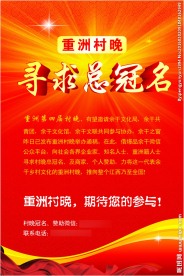 寻求总冠名海报