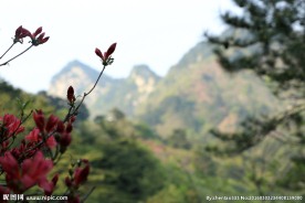 山中风景