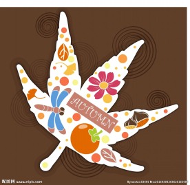 矢量枫叶道具素材元素