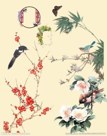 花鸟