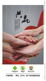 共赢企业文化大KT板