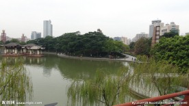 千灯湖一角