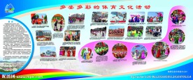 体育文化活动