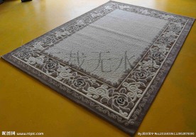 地毯  3D 花纹