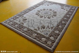地毯  3D 花纹