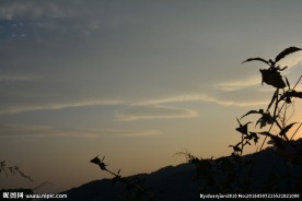 夕照