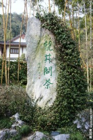 龙井问茶