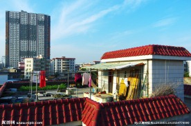 楼顶风光 天台菜园