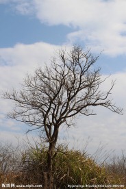 田园风光
