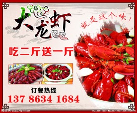 龙虾海报