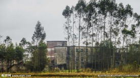 北里小学