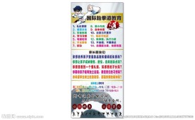 国际跆拳道教育