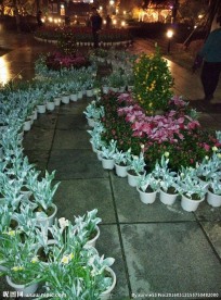 福州温泉公园花圃