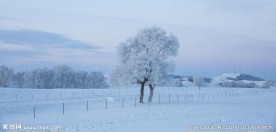 坝上雪景