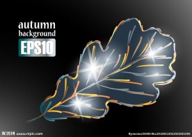 矢量唯美树叶素材