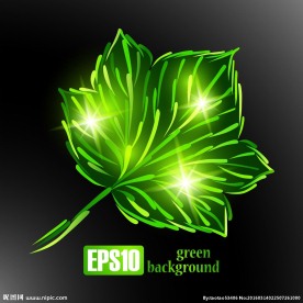 矢量唯美绿色树叶