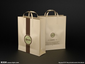 手提袋模板效果图
