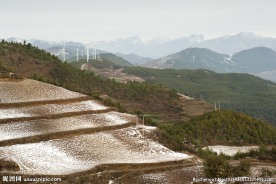 山间农田