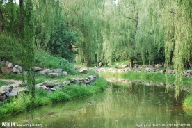 圆明园夏日景色