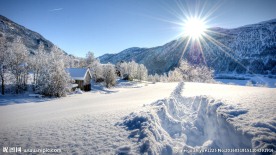 冬日雪景