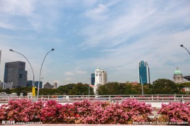 新加坡城市风光