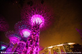 新加坡夜景