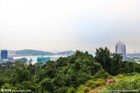 新加坡园林景观