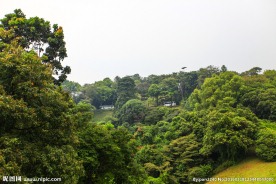 新加坡园林景观