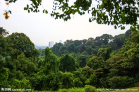 新加坡园林景观