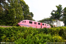 新加坡观光列车