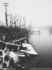 雪中