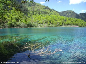 山清水秀