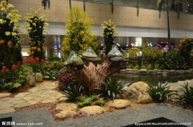 新加坡滨海植物园