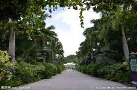 新加坡滨海空中花园