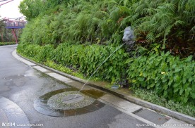 新加坡滨海空中花园