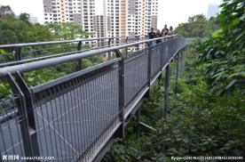 新加坡滨海空中花园