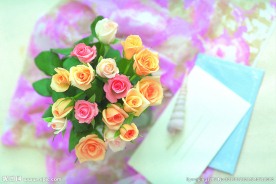 玫瑰花