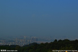 树丛