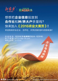 杂志招商广告单页